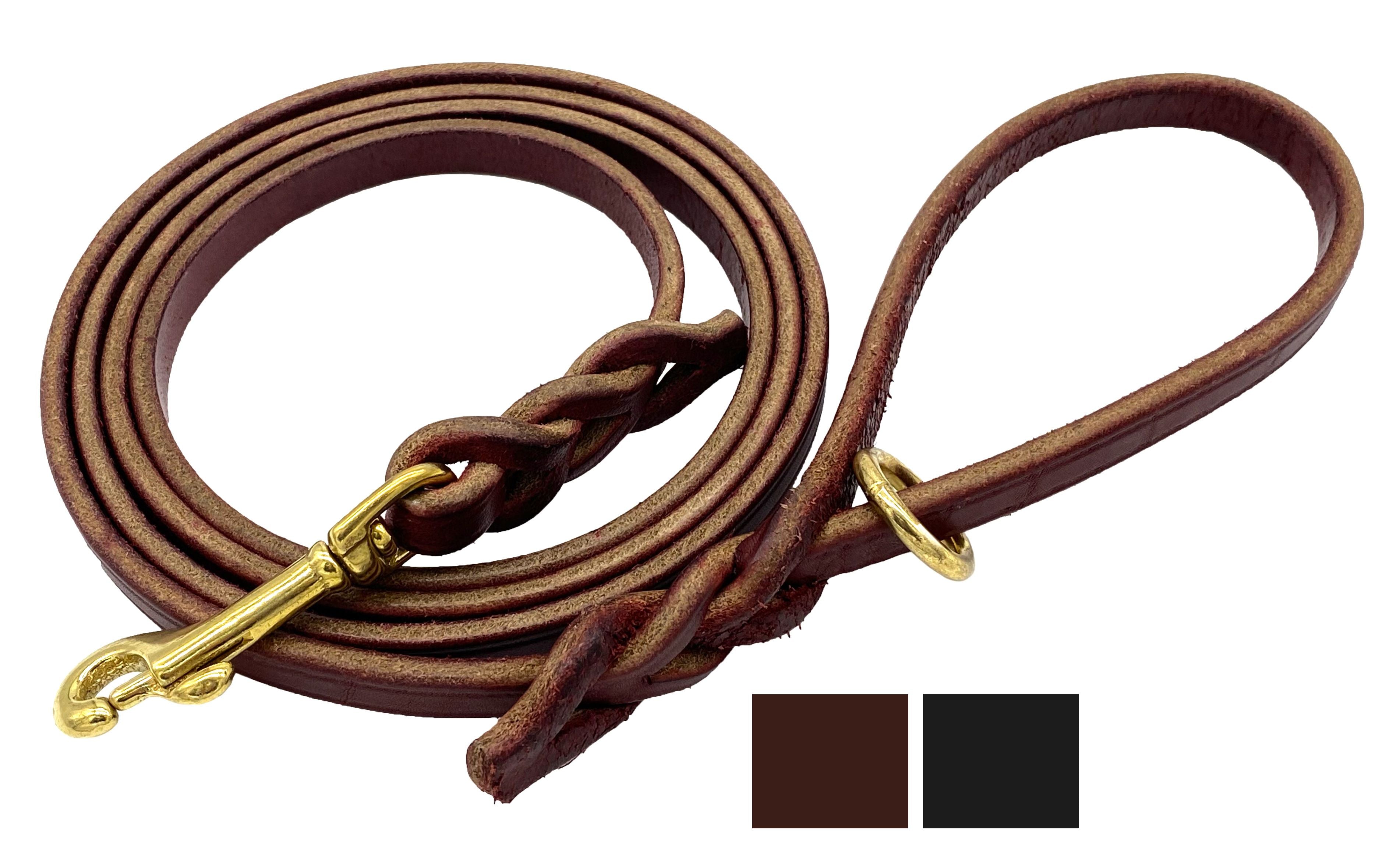 Personalized Leather Dog Leash store | Braided Dog Leash | Custom Leather Dog Leash | Dog Accessories | 4', 5', or 6' Dog Leashes