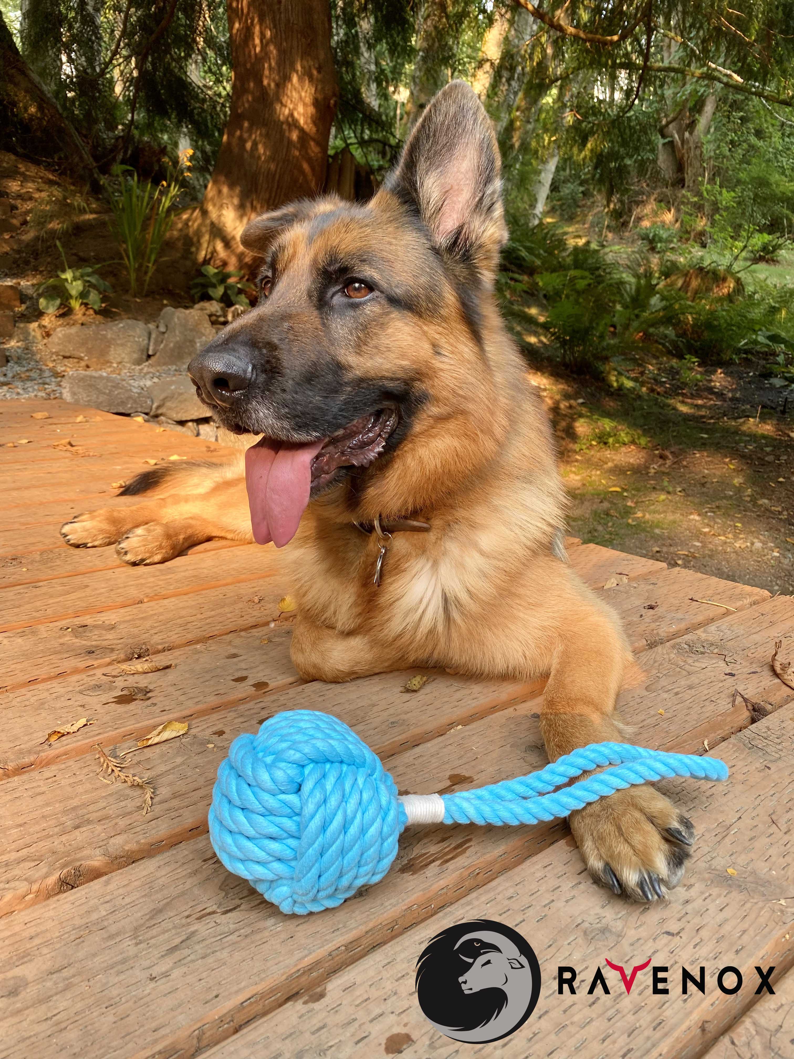 Dogs Love Our Large Cotton Tug! - Organic Cotton Tug Toy - Hand