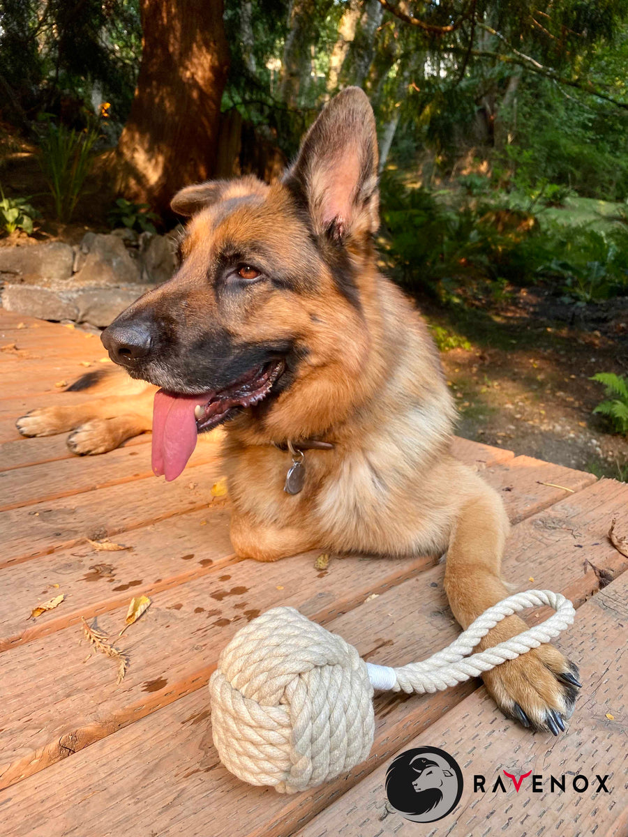 Dog Toy: Natural Hemp Rope Tug Toy