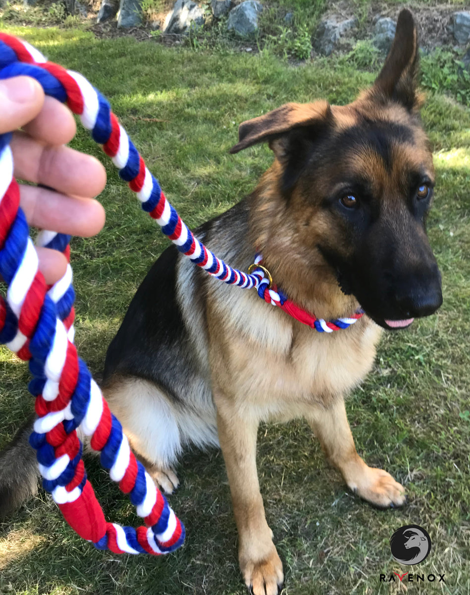 Rope Dog Leash | Dark Red Leash, Rope Leash, Soft Dog store Leash, Red Rope Leash