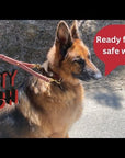 Leather Safety Dog Leash