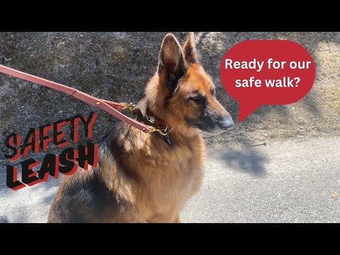 Leather Safety Dog Leash