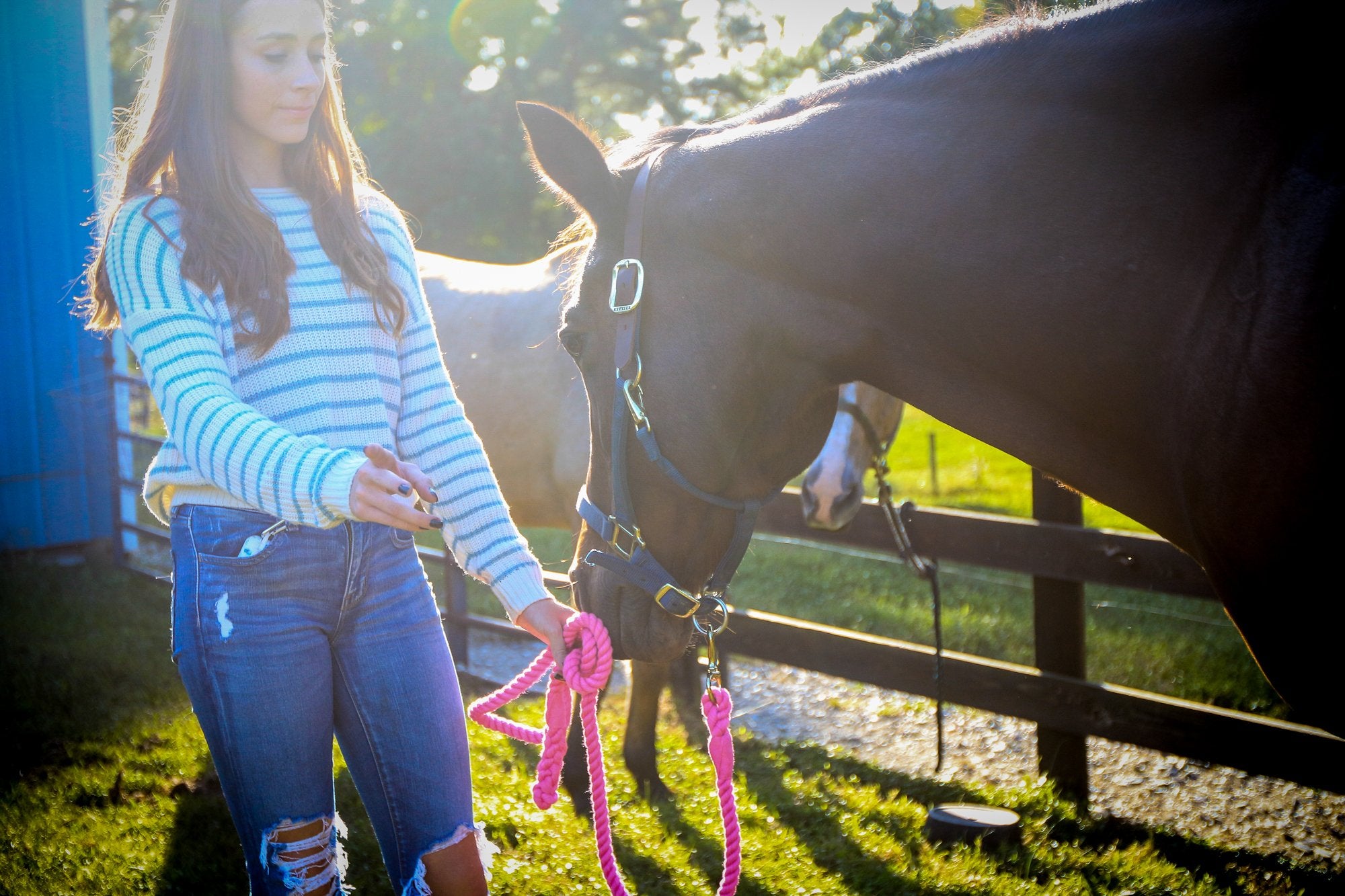 Ravenox Hemp Horse Lead Ropes | Soft Planet Friendly Leads Natural Hemp / 5/8-Inch x 10-Feet